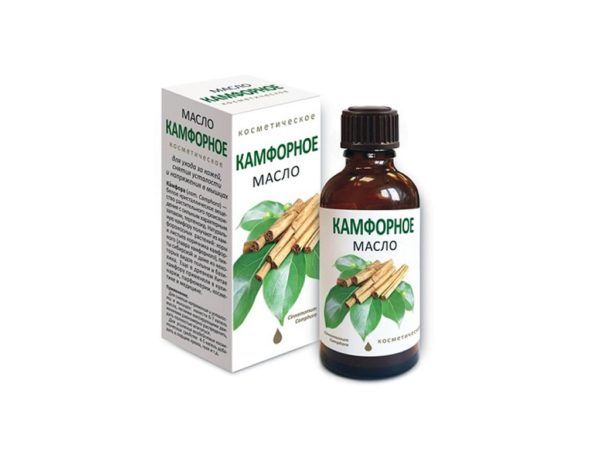 Kampferöl kosmetisches Öl Cinnamomum camphora 50 ml