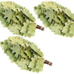 Eichenreisig für Sauna kanadische Eiche 3 x 45-55 cm