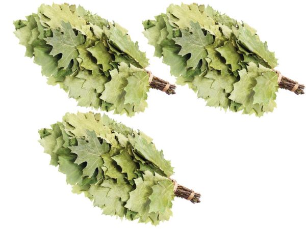 Eichenreisig für Sauna kanadische Eiche 3 x 45-55 cm