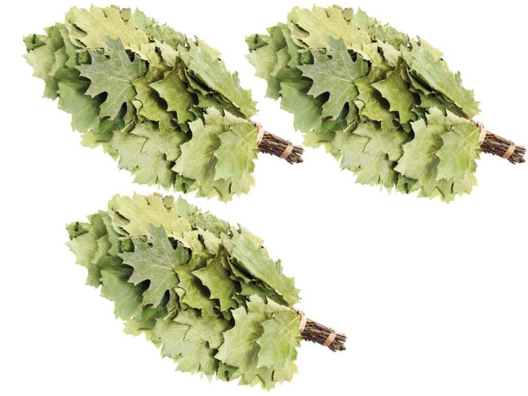 Eichenreisig für Sauna kanadische Eiche 3 x 45-55 cm