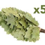Eichenreisig für Sauna kanadische Eiche 5 x 45-55 cm