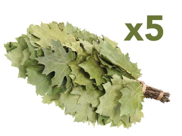 Eichenreisig für Sauna kanadische Eiche 5 x 45-55 cm