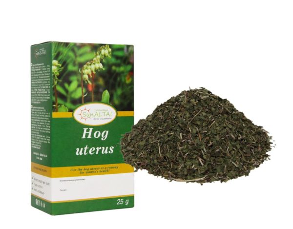 Birngrüngewächs Orthilia secunda 25 g