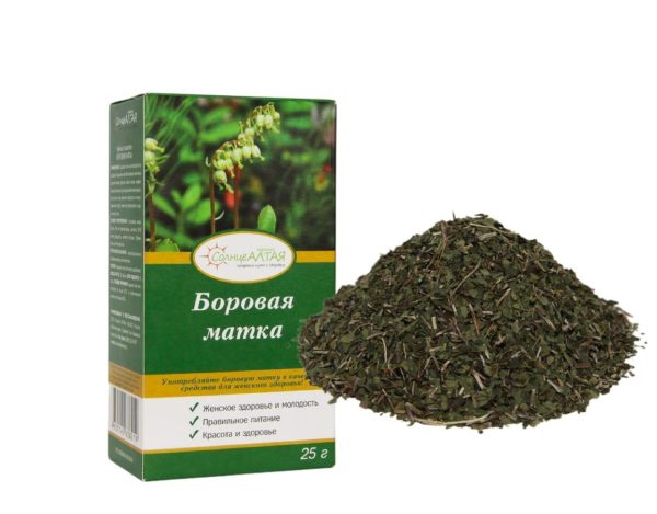 Birngrüngewächs Orthilia secunda 4 x 25 g