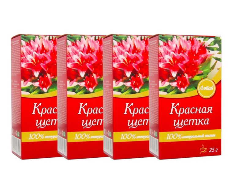Rosenwurzgewächs Rhodiola quadrifida 4 x 25 g