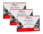 Mumijo Kirgistan Bergbalsam 3 x 60 Tabl