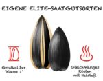 Sonnenblumenkerne Jinn Striped Salt geröstet und gesalzt ungeschält 3 x 300 g