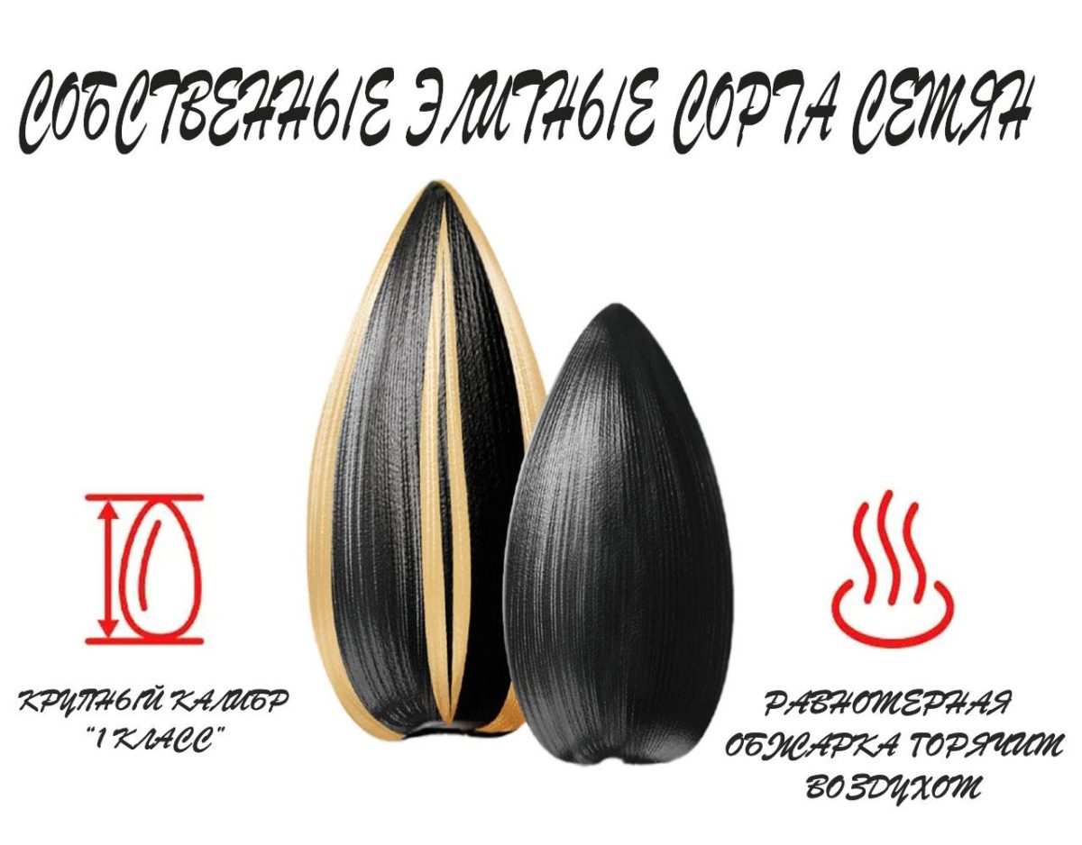 Sonnenblumenkerne Jinn Striped Salt geröstet und gesalzt ungeschält 5 x 300 g