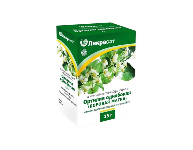 Birngrüngewächs Orthilia secunda 25 g
