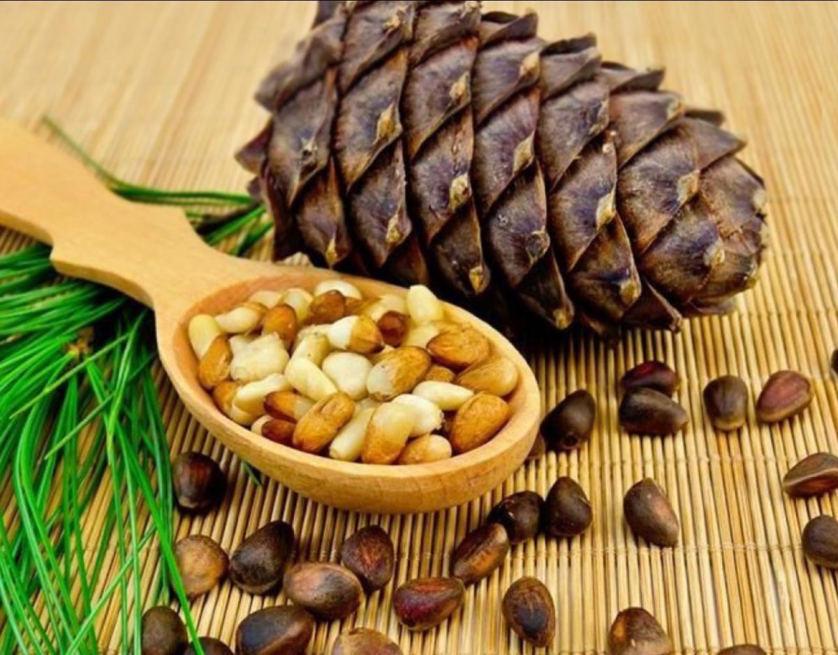 Pinienkerne Zedernüsse geschält aus Sibirien 100 g