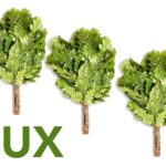 Eichenreisig für Sauna Lux 3 St. x 40-50 cm für professionelle Nutzung