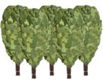Birkenreisig für Sauna 5 x 55 cm, neue Ernte Sommer 2025