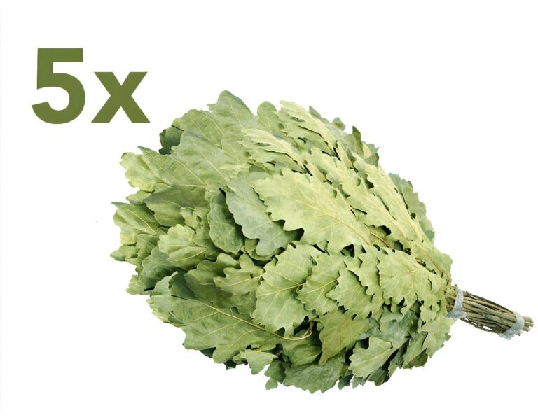 Eichenreisig für Sauna 5 St. 50-60 cm, neue Ernte Sommer 2025