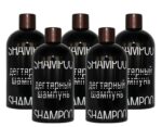 Birkenteer Haar Shampoo mit Panthenol, Vitamin E 5 x 330 ml