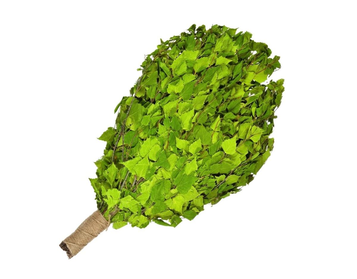 Birkenreisig für Sauna 3 x 60 cm, neue Ernte Sommer 2025