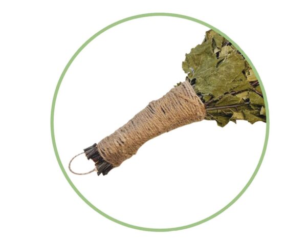 Birkenreisig für Sauna 3 x 60 cm, neue Ernte Sommer 2025