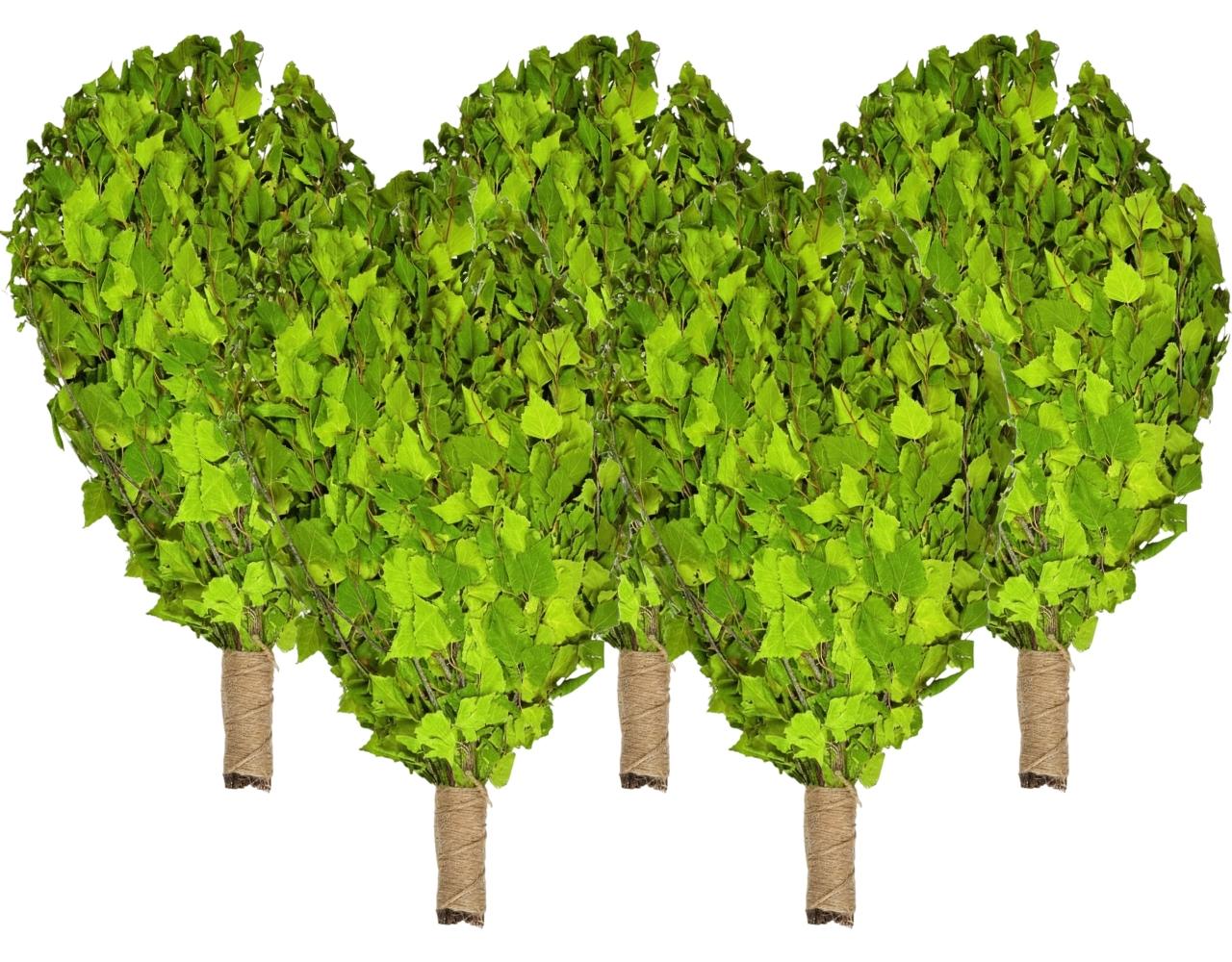 ID_14966_orig-1.jpg Birkenreisig für Sauna 5 x 60 cm, neue Ernte Sommer 2025