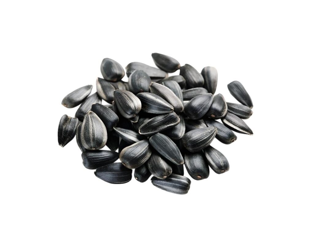 Sonnenblumenkerne Sembai schwarz geröstet ungesalzen ungeschält 5 x 250 g