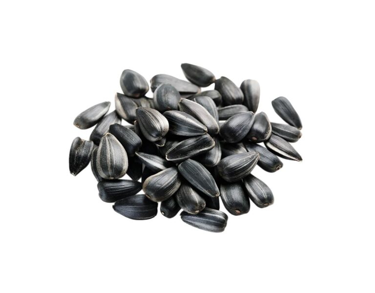 Sonnenblumenkerne Sembai schwarz geröstet ungesalzen ungeschält 5 x 250 g