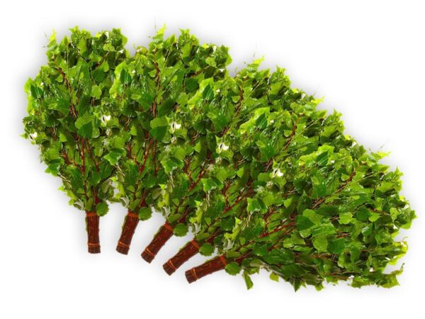 Birkenreisig für Sauna 5 St. 50-55 cm