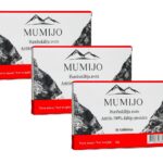 Mumijo Kirgistan Bergbalsam 3 x 30 Tabl