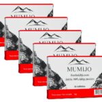 Mumijo Kirgistan Bergbalsam 5 x 30 Tabl