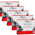 Mumijo Shilajit Kirgistan Bergbalsam 5 x 90 Tabl