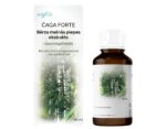 Chaga Forte Extrakt 1:1 Konzentrat Inonotus obliquus 90 ml