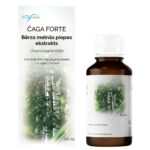 Chaga Forte Extrakt 1:1 Konzentrat Inonotus obliquus 90 ml