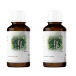 Chaga Forte Extrakt 1:1 Konzentrat Inonotus obliquus 2 x 90 ml