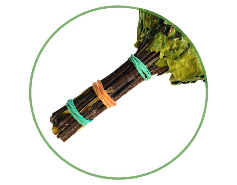 Birkenreisig für Sauna 55 cm, neue Ernte Sommer 2025