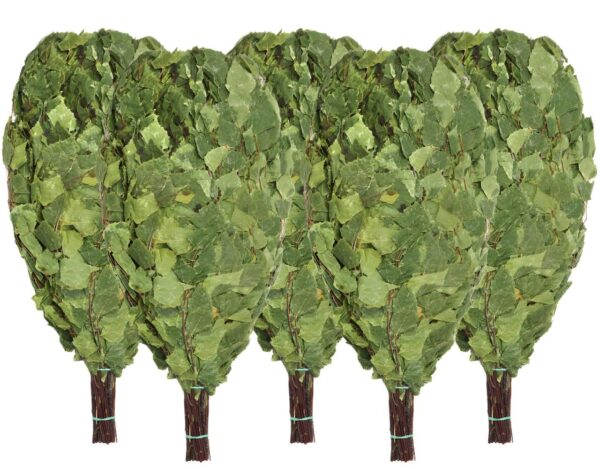 Birkenreisig für Sauna 5 x 55 cm, neue Ernte Sommer 2025