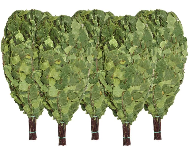 Birkenreisig für Sauna 5 x 55 cm, neue Ernte Sommer 2025