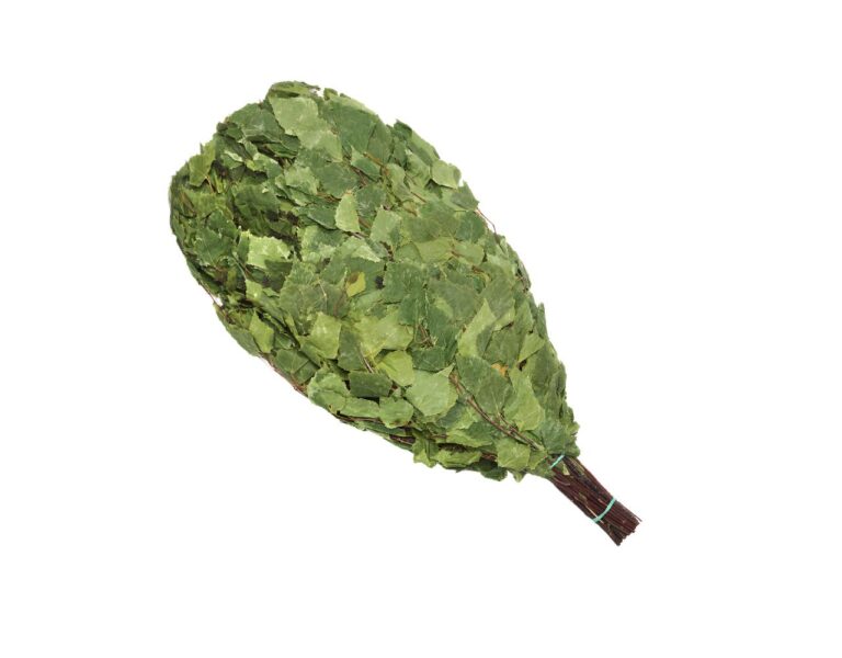 Birkenreisig für Sauna 10 x 55 cm, neue Ernte Sommer 2025