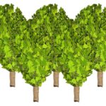 Birkenreisig für Sauna 5 x 60 cm, neue Ernte Sommer 2025