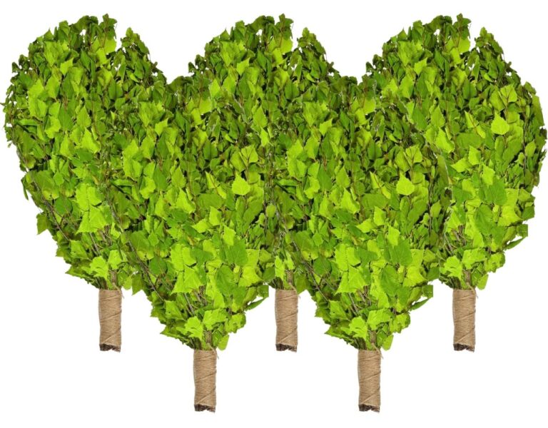 Birkenreisig für Sauna 5 x 60 cm, neue Ernte Sommer 2025