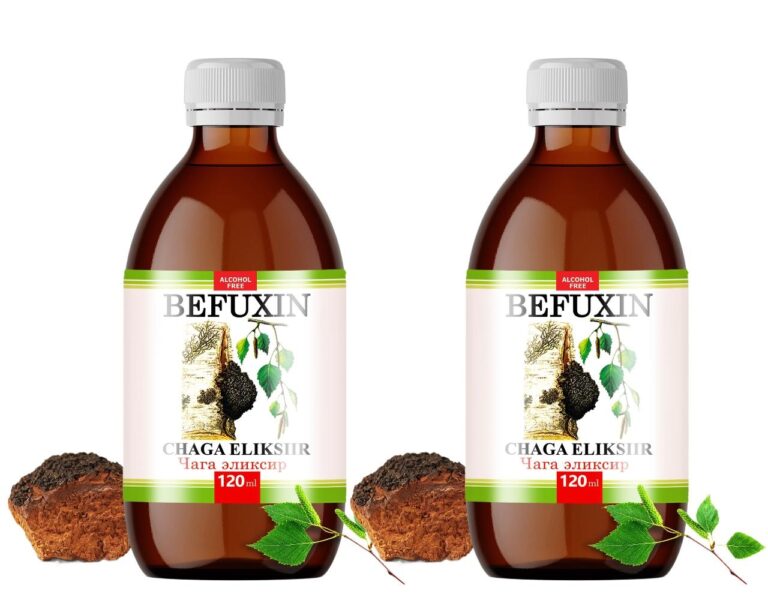 Befuxin Chaga Elixier Alkoholfrei Tinktur 2 x 120 ml