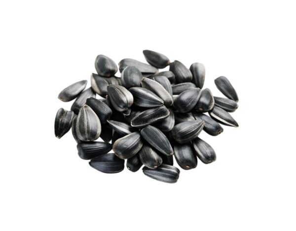 Sonnenblumenkerne Sembai schwarz geröstet ungesalzen ungeschält 5 x 250 g