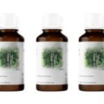 Chaga Forte Extrakt 1:1 Konzentrat Inonotus obliquus 3 x 90 ml