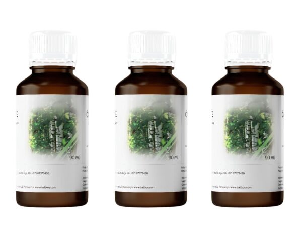 Chaga Forte Extrakt 1:1 Konzentrat Inonotus obliquus 3 x 90 ml