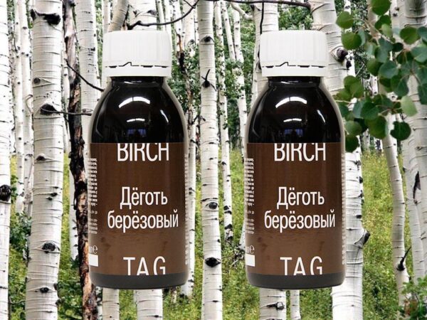 Birkenteer Birkenöl Birch tar 2 x 100 ml
