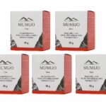 Mumijo Shilajit Harz Kirgistan Bergbalsam gereinigt 5 x 50 g