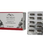 Mumijo Shilajit Kirgistan Fulvinsäure Huminsäure 60 Kapseln