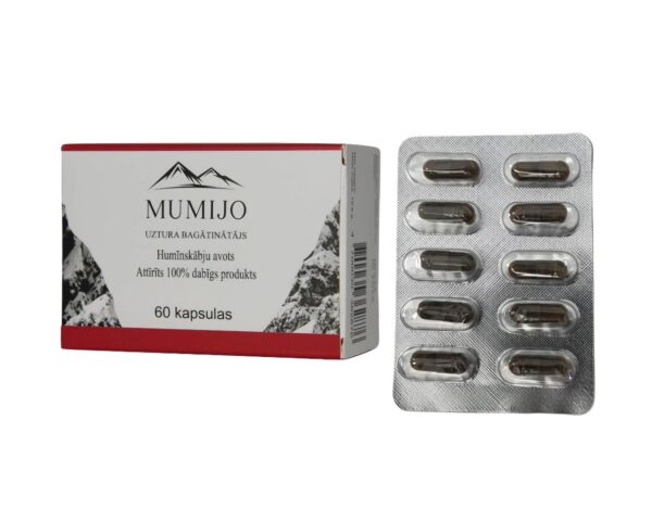 Mumijo Shilajit Kirgistan Fulvinsäure Huminsäure 60 Kapseln