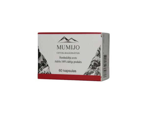 Mumijo Shilajit Kirgistan Fulvinsäure Huminsäure 60 Kapseln