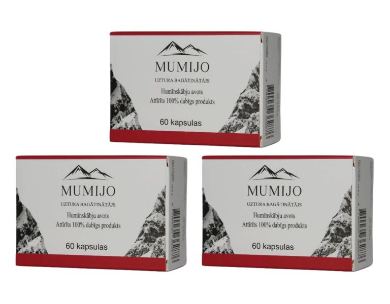 Mumijo Shilajit Kirgistan Fulvinsäure Huminsäure 3 x 60 Kapseln