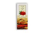 Rizinusöl (Ricinus Communis Seed Oil) 50 ml