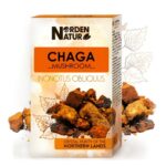 Birkenporling Chaga Schillerporling 50 g