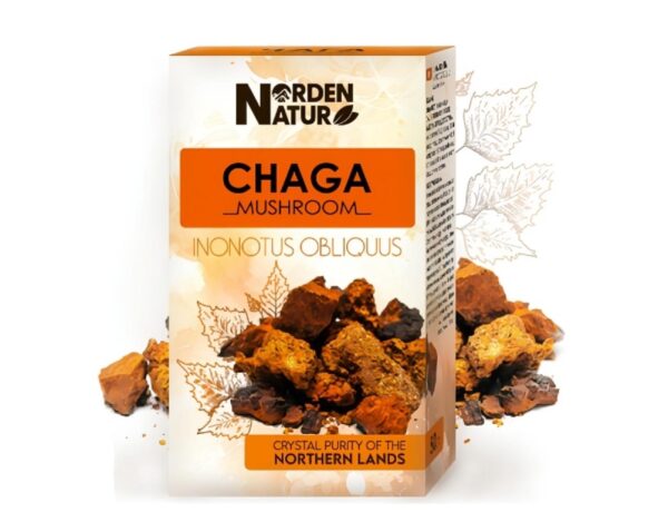Birkenporling Chaga Schillerporling 50 g