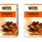 Birkenporling Chaga Schillerporling 2 x 50 g